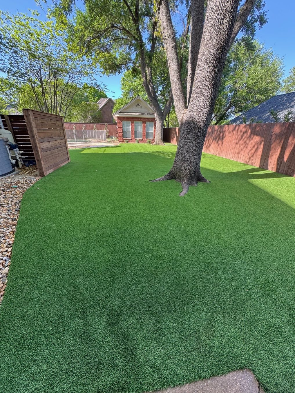 After: bare dirt and exposed roots under a mature backyard tree