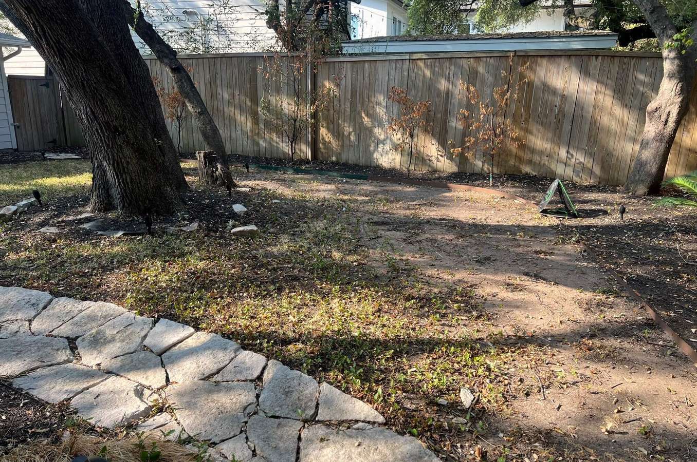Before: a shaded backyard under a mature oak